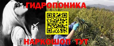 мяу мяу мука Малгобек