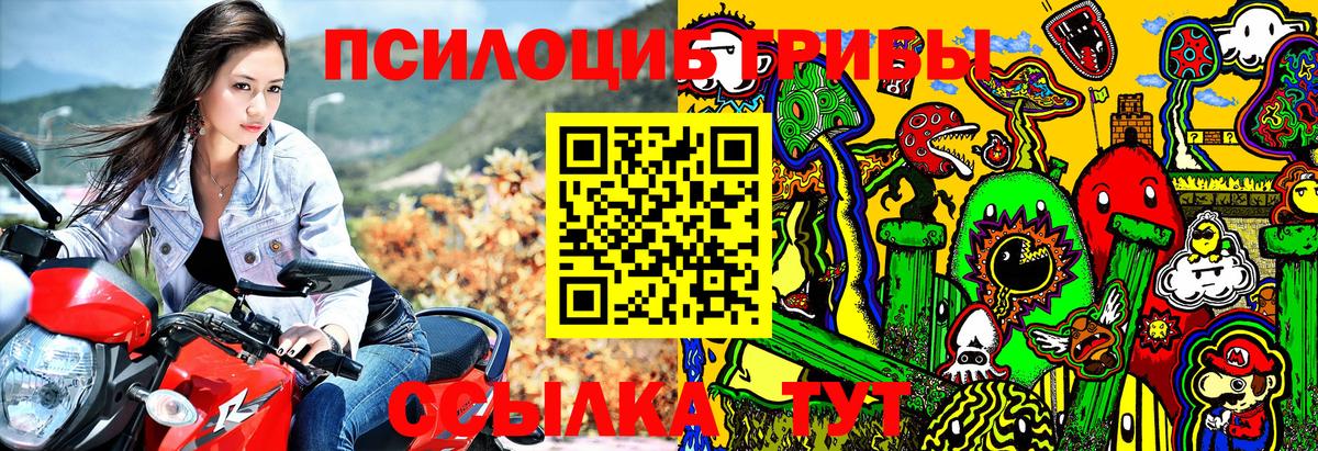 Артём  где продают наркотики  Вход с VPN  Галлюциногенные грибы Psilocybe 